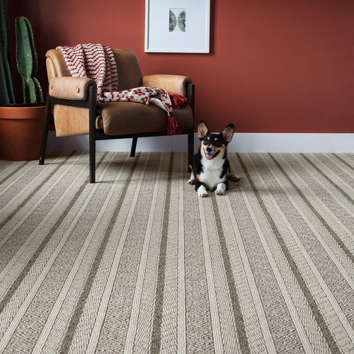 Anderson Tuftex Carpet  from ICD Flooring in Hermitage